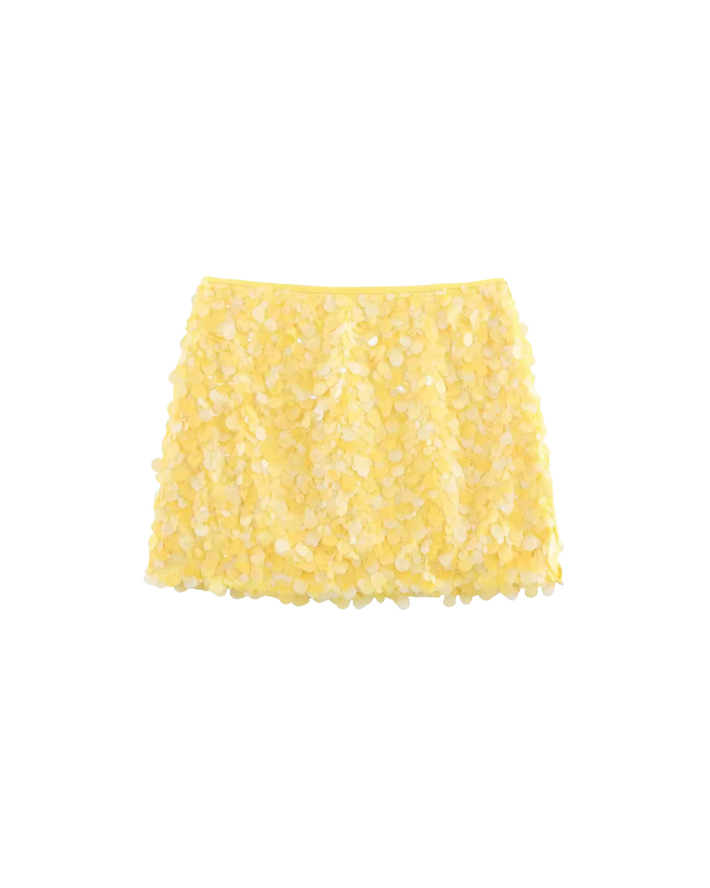 Aurora Sequin Embellishment Mini Skirt
