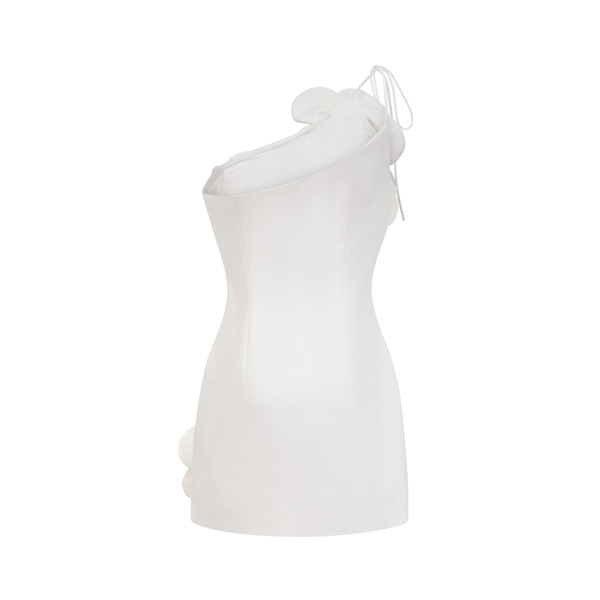 NTMY Bugle Floral 3D Applique Embellishment Mini Dress in White