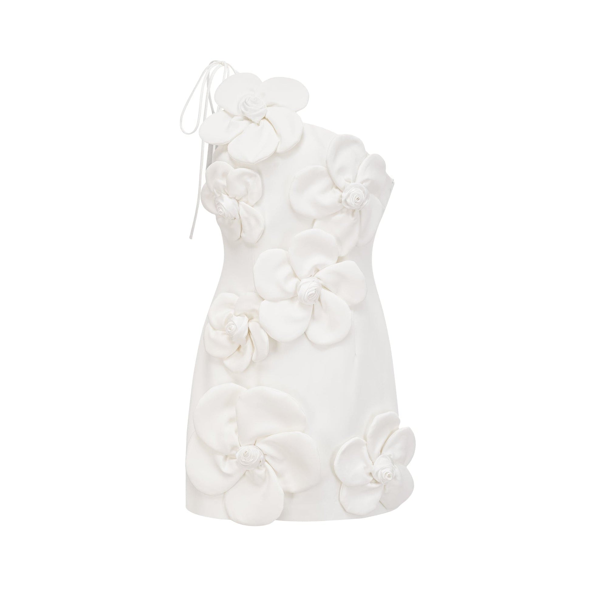 NTMY Bugle Floral 3D Applique Embellishment Mini Dress in White